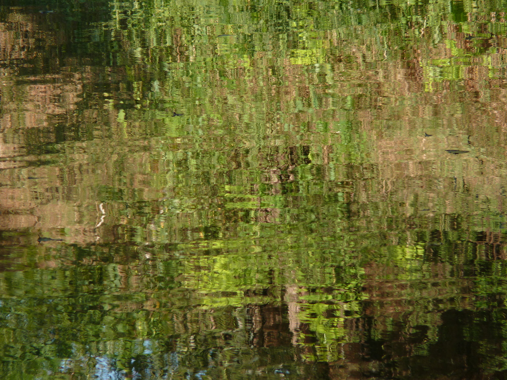 No s'ha trobat l'arxiu